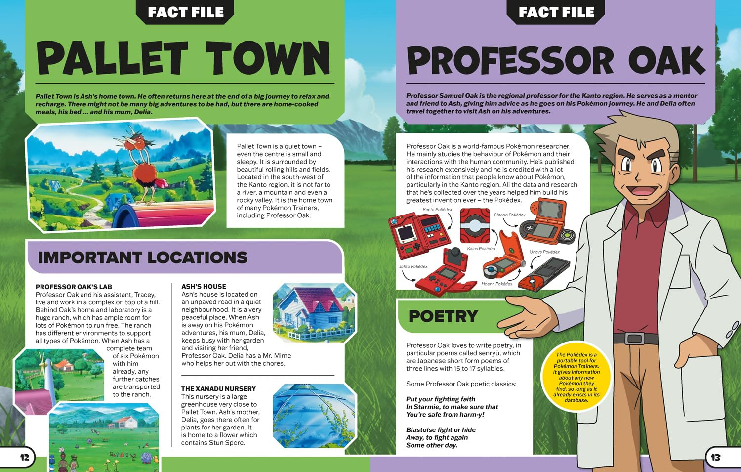 Pokemon - Ash'S Journey: a Visual Guide to Ash'S Epic Story image number 4