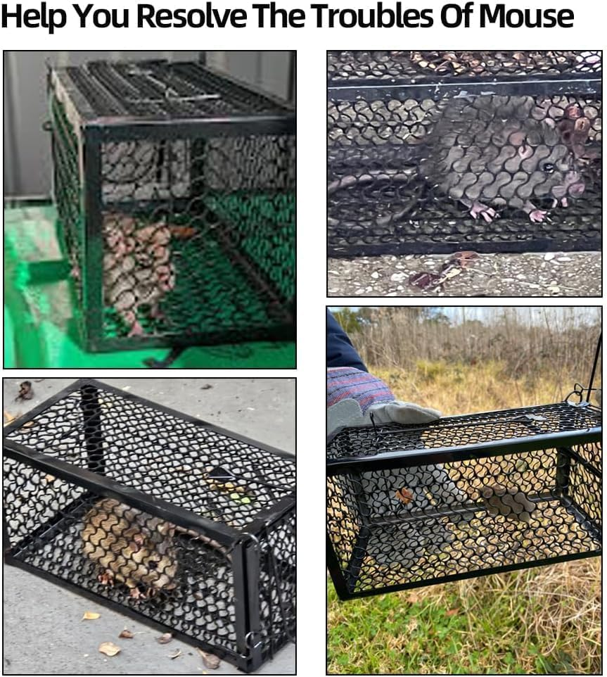 Animal Live Cage Trap Humane Rat Trap Live Mouse Traps Reusable Metal Cage Trap to Catch Rodent,Mice,Squirrel,Weasel,Hamster,Chipmunk for Indoor or Outdoor Size 9.45"X4.5" X4.5" (1 Pcs) image number 1