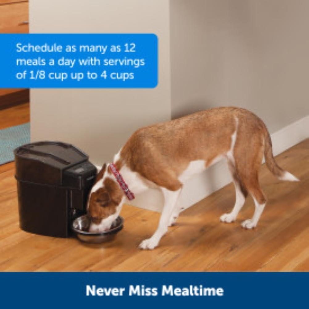 Petsafe Healthy Pet Simply Feed Digital Pet Feeder image number 5