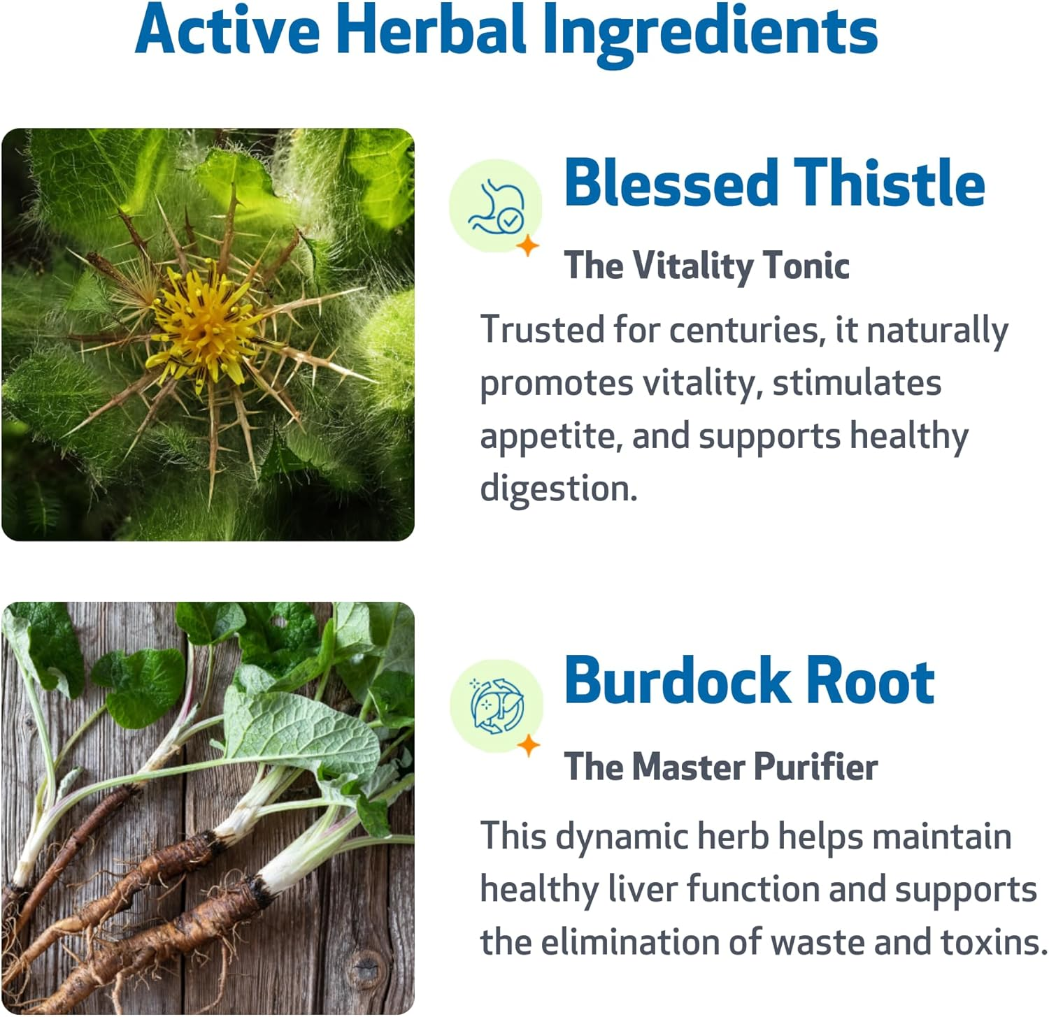 Life Gold for Dogs & Cats - Supports Detoxification, Immune System Health, Antioxidants - Vet-Formulated Herbal Supplement &ndash; 4 Oz (118 Ml) image number 2