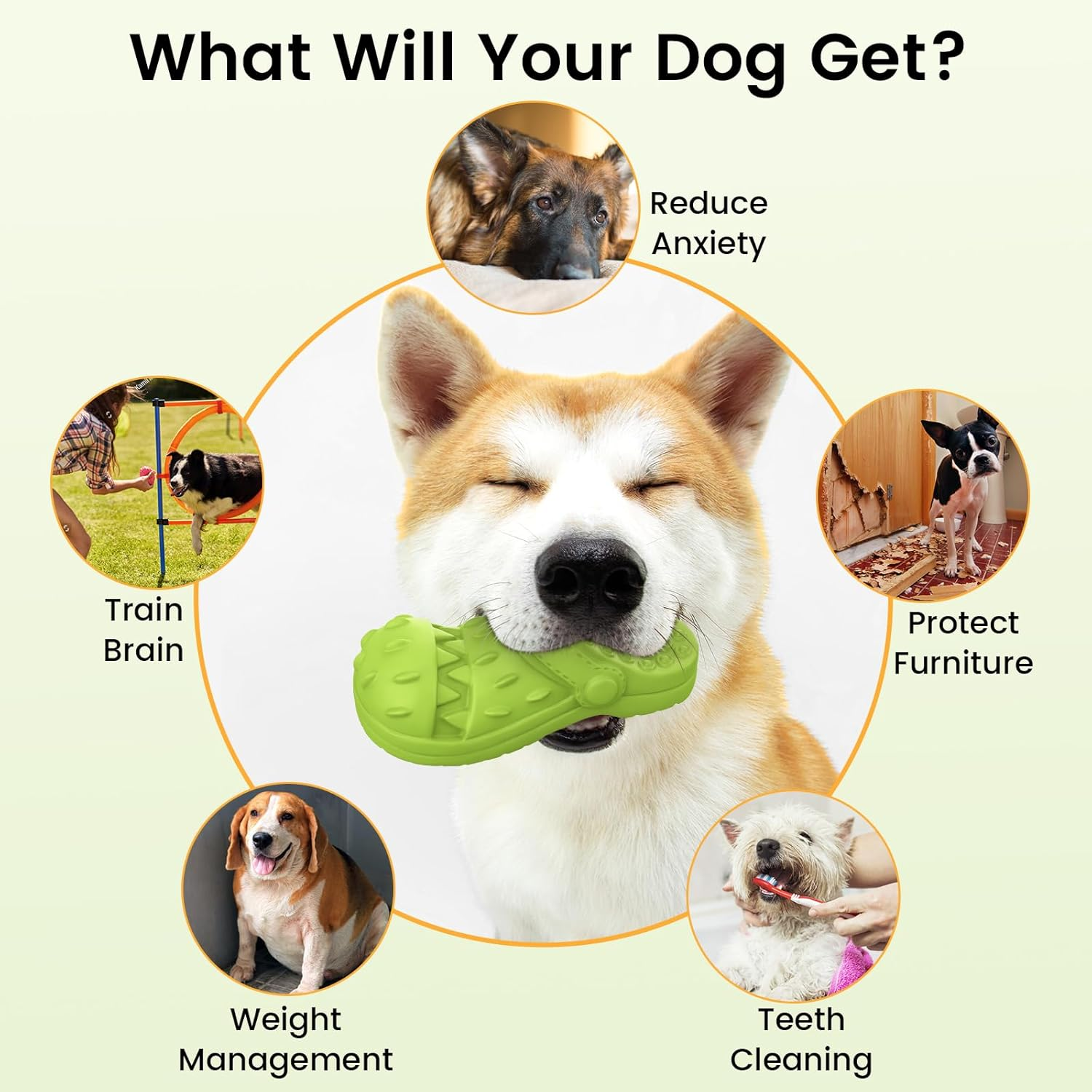 MASBRILL Natural Rubber Dog Chew Toy, Squeaky, Heavy Duty, Super Chewer, Large Dogs