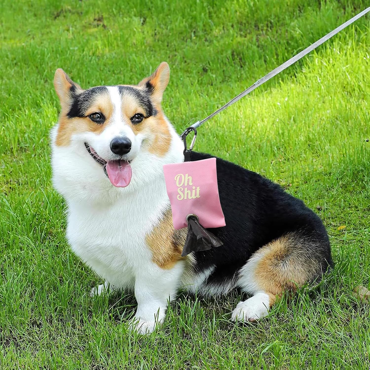 RTRTGS Pack of 2 Dog Waste Bag Dispenser, Portable Dog Waste Bag Holder for Leash, Dog Poo Bags Container with Metal Clip for Walking, Running or Outdoor Accessories (Pink, Rose Red) image number 1