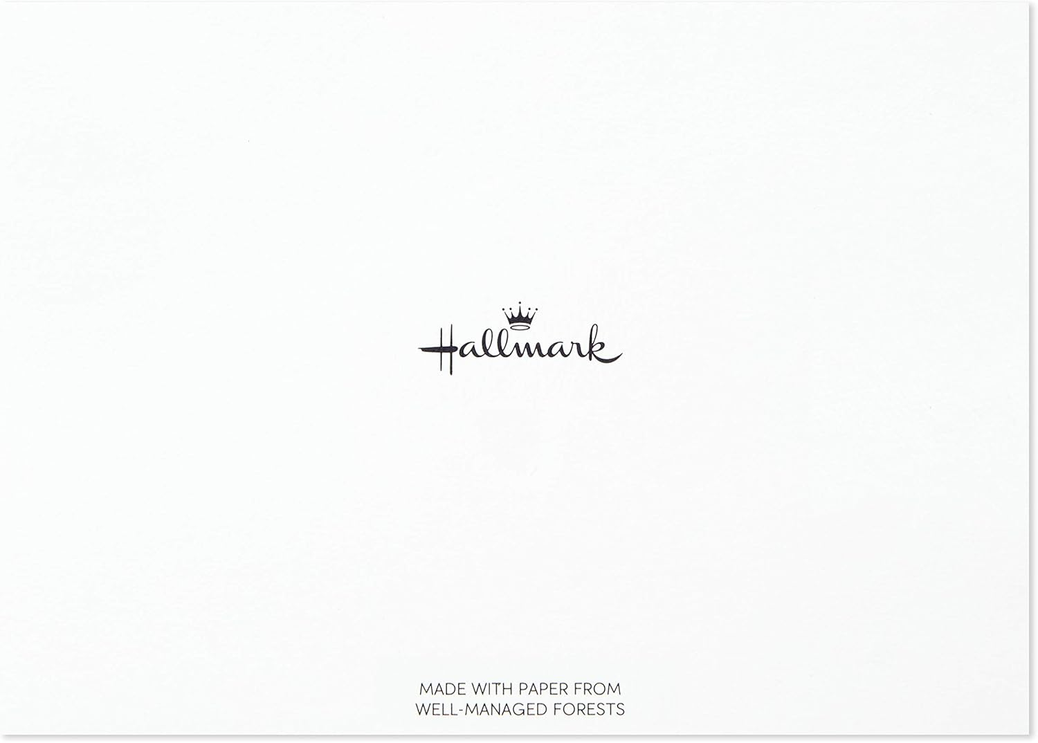 Hallmark Thank You Cards, Gold and White Bulk (40 Thank You Notes with Envelopes for Graduation, Business, Weddings, All Occasion) image number 5