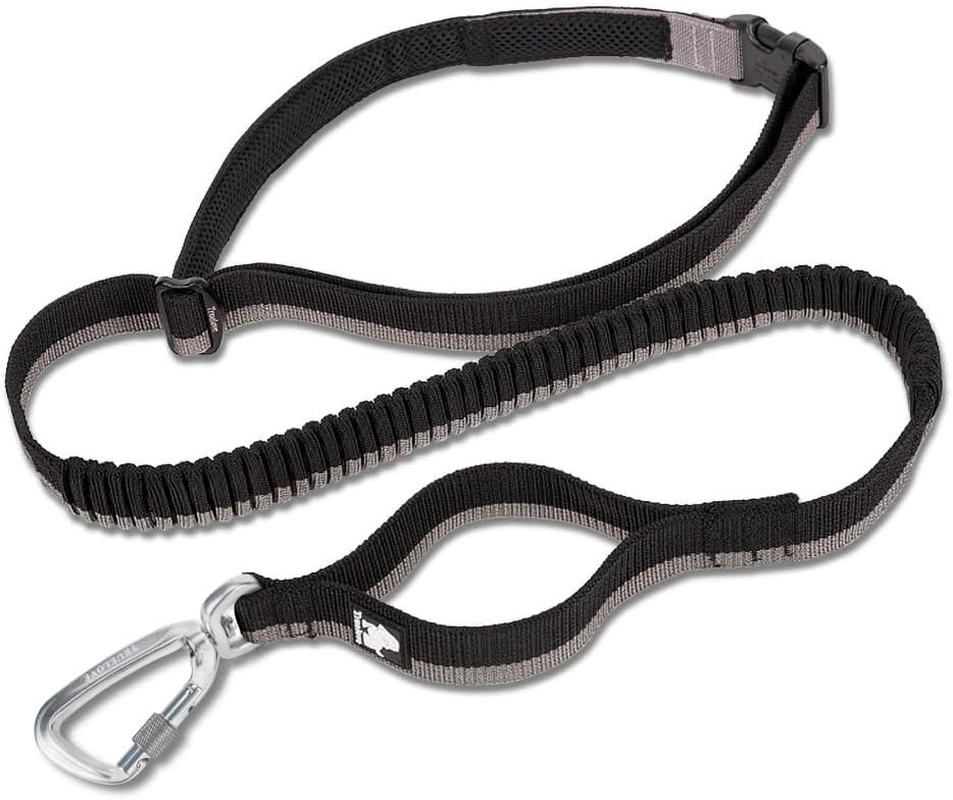 TRUE LOVE Training Lead Hands Free Leash Padded Handle Dog Walking Rope Tll2271(Black, M)