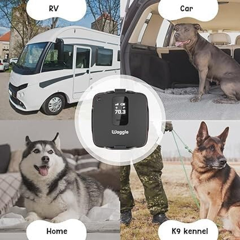 Waggle Pet Temperature Monitor for Caravans & Campervans | 24/7 Temp, Humidity & Power Alerts | Built-In Cellular, No Wifi Needed | Perfect for Pet Safety
