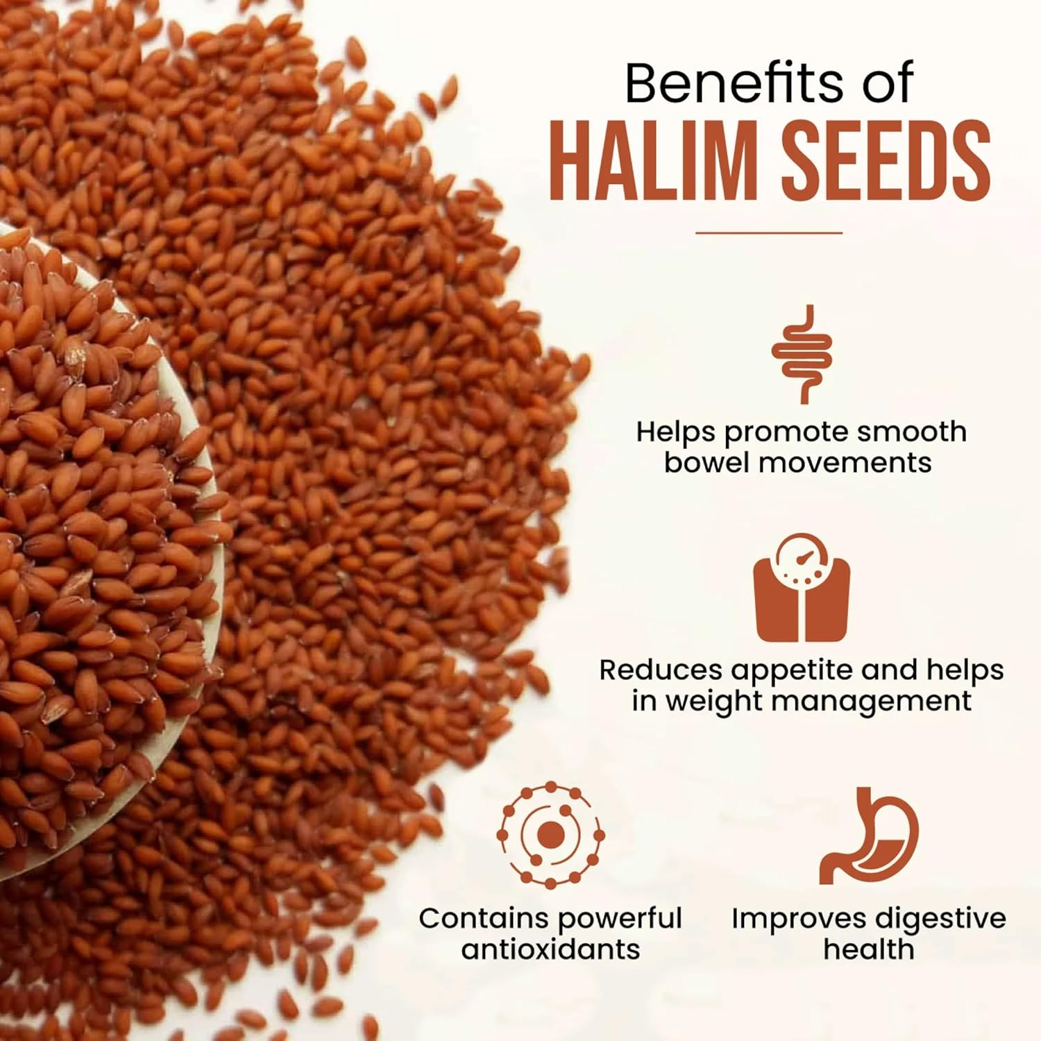 Neutraved Halim Seeds 350G | Aliv for Eating Superfood & Hair Growth | Asaliya | Garden Cress | Haleem Seeds | Immunity Booster - 350G image number 3