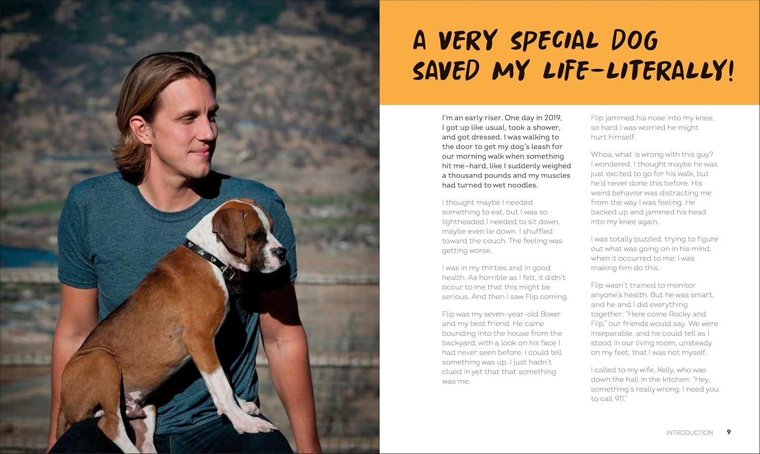 Sitting with Dogs: Stories of Rescue Dogs Going from Lost to Loved image number 3