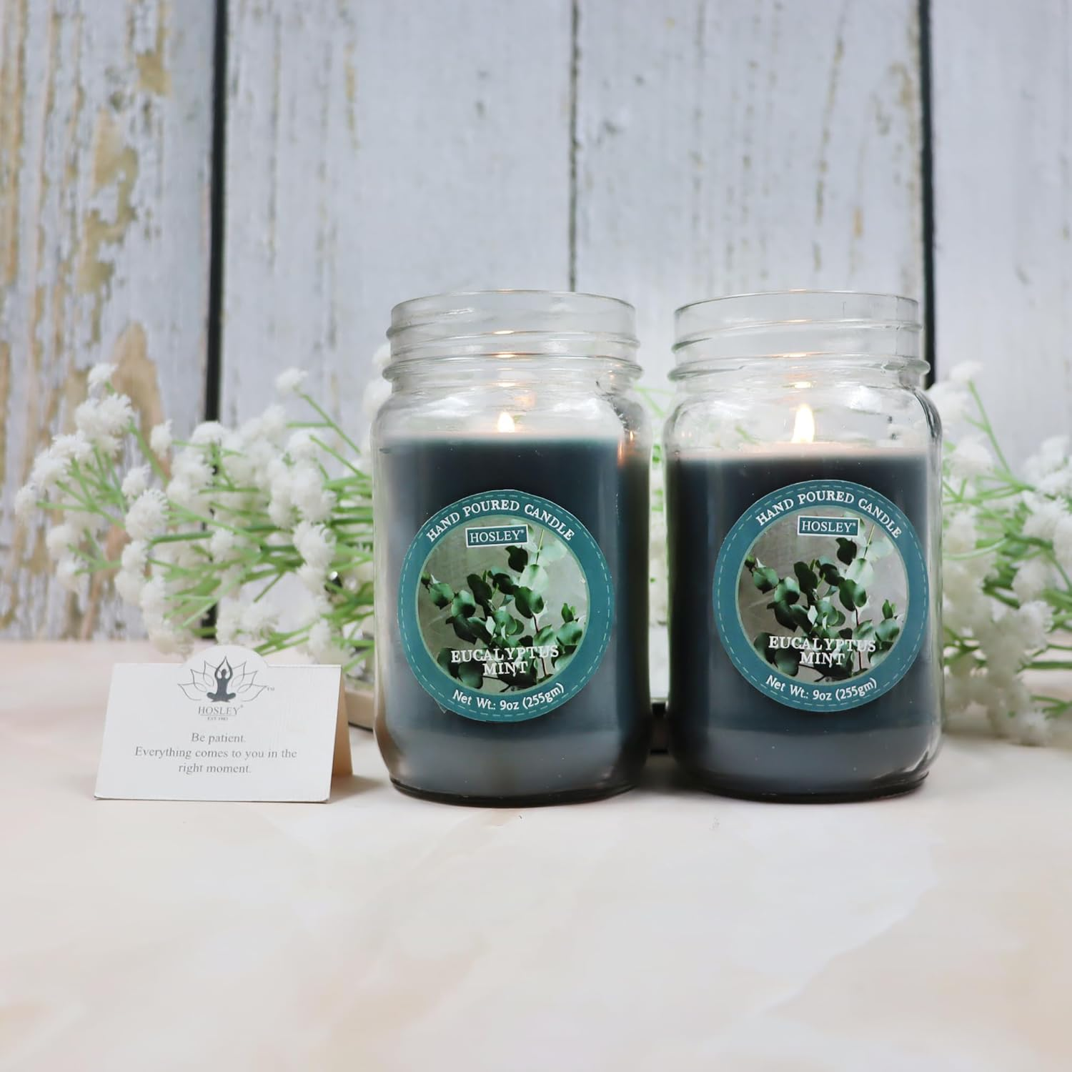 Hosley&reg; 9Oz Eucalyptus Mint Scented Classic Clear Fragrance Jar Candle Large Jar Single Wick Candle, over 55 Hours of Burn Time (Pack of 2)