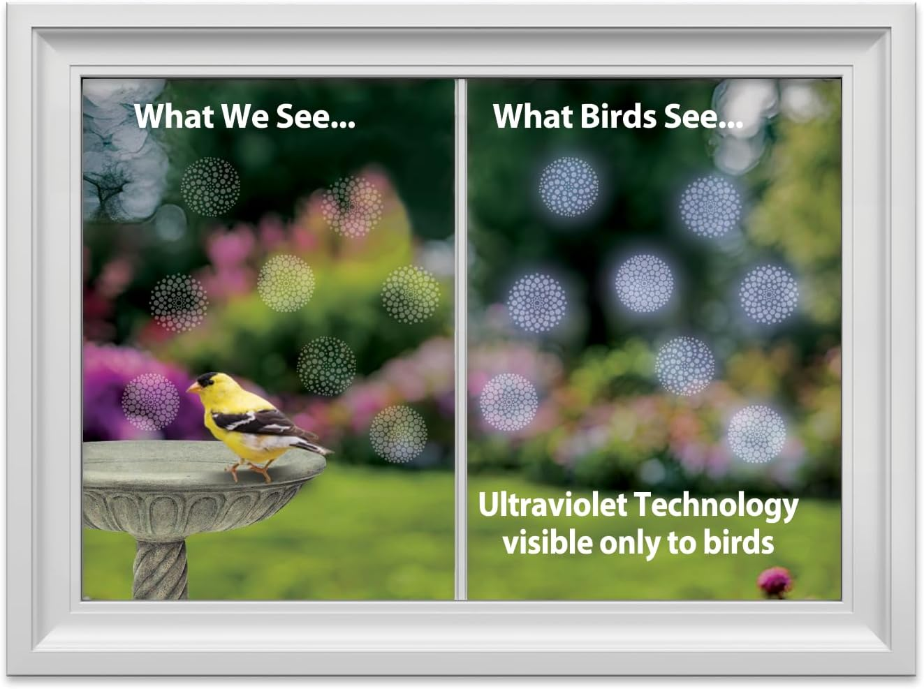 Windowalert Modern Dots Anti-Collision Decal - Uv-Reflective Window Decal to Protect Wild Birds from Glass Collisions - Made in the USA - 1, Pinecone image number 5