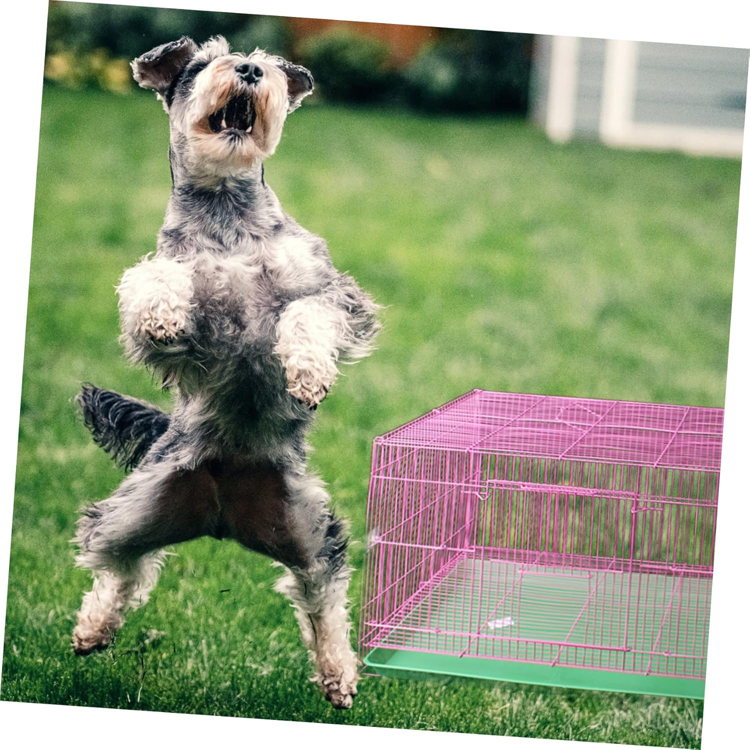 Hohopeti Pet Toilet Tray Plastic for Rabbits and Small Animals, Green Poop Pan for Rabbit Cage and Chick Coop, Household Little Animal Potty Supplies image number 6