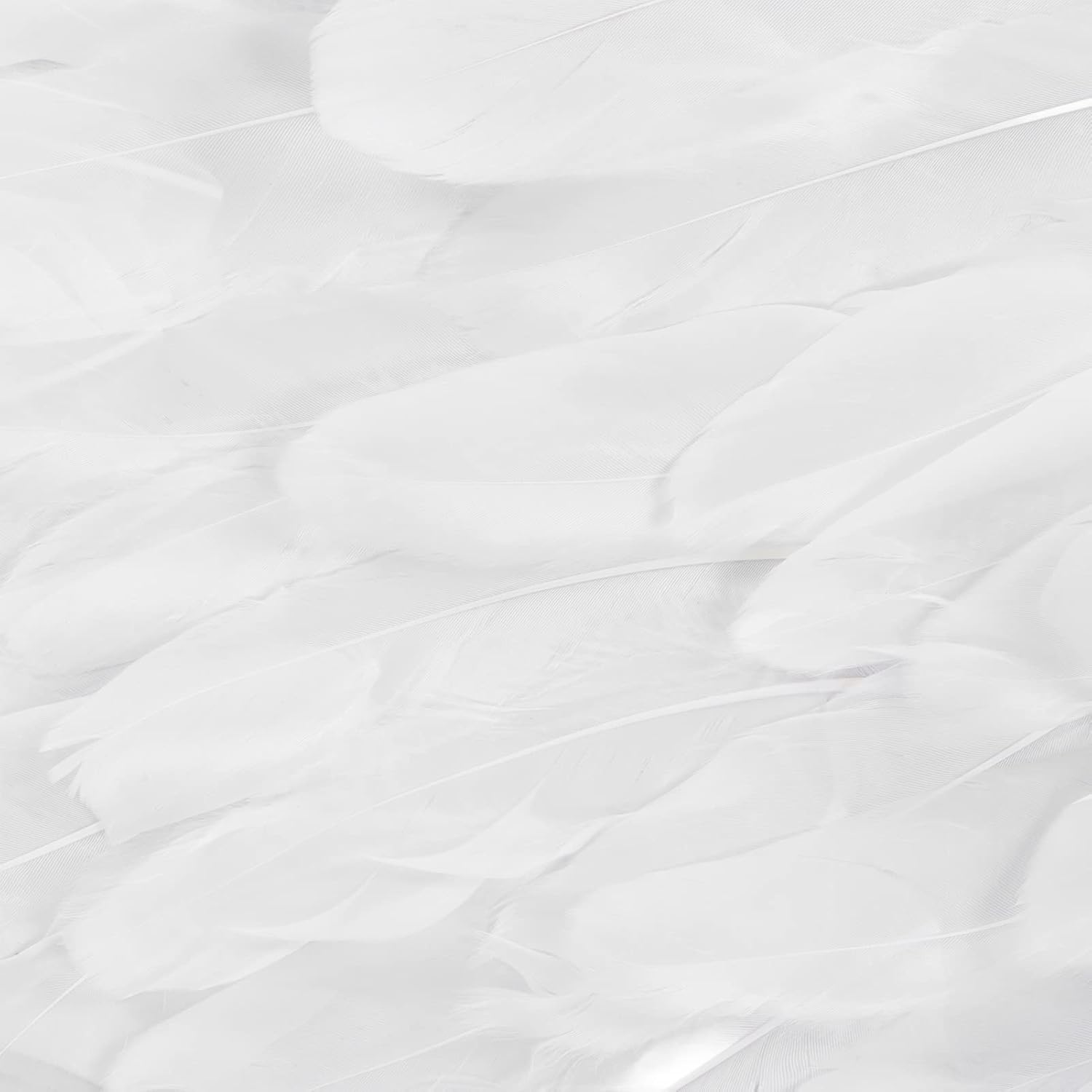 Angel Wings, Cosplay Costumes Feather Angel Wing for Kids, Adults, Women, Girls, Feather Dress up Props White Angel Wing with Elastic Straps for Halloween, Christmas Eve and Christmas(S) image number 6