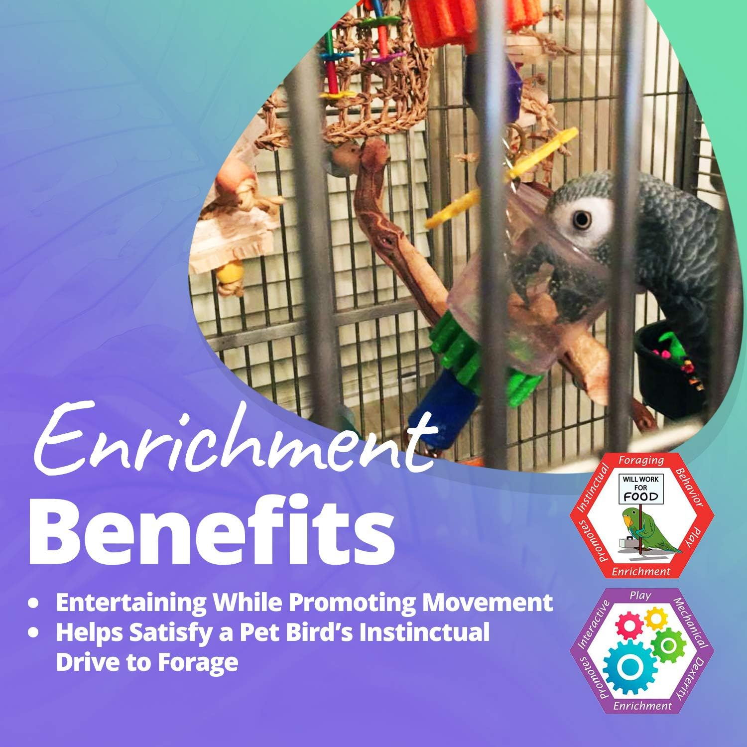 SUPERBIRD Bottom'S Up, 43X6.5Cm image number 5