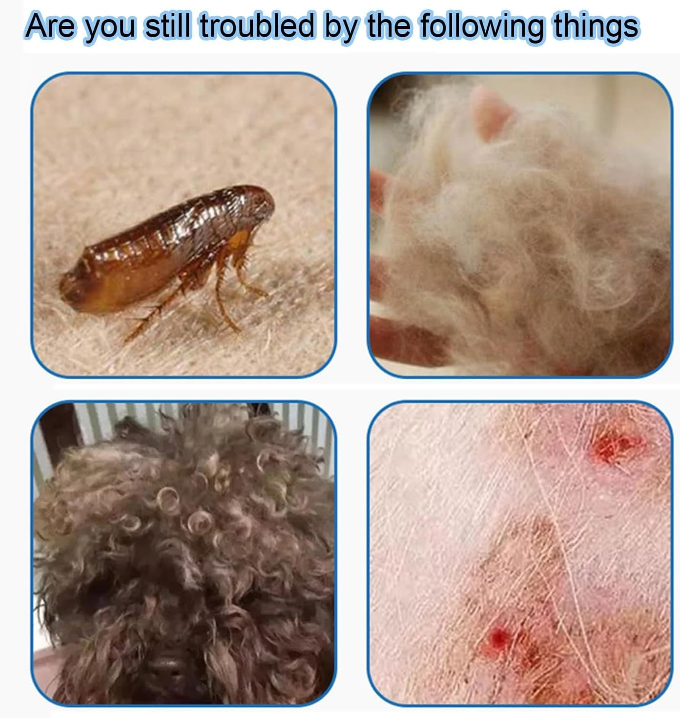 Cat Dog Flea Comb, Pet Comb Stainless Steel Lice Comb, Pet Dogs Cats Care Tool, Pet Tear Stain Remover Combs, Pet Care Comb (Blue, One Size) image number 2