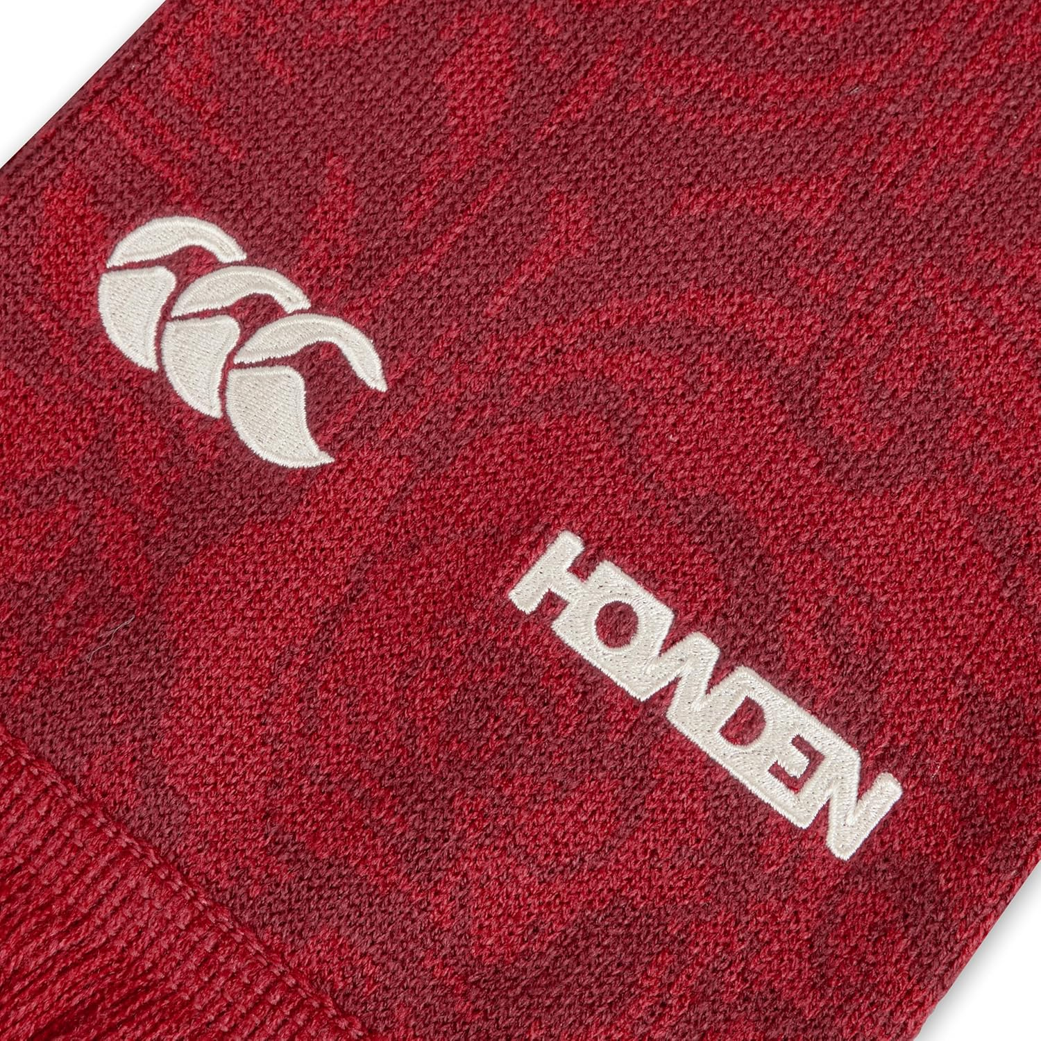 Canterbury Unisex British and Irish Lions 2024 Supporters Scarf image number 4