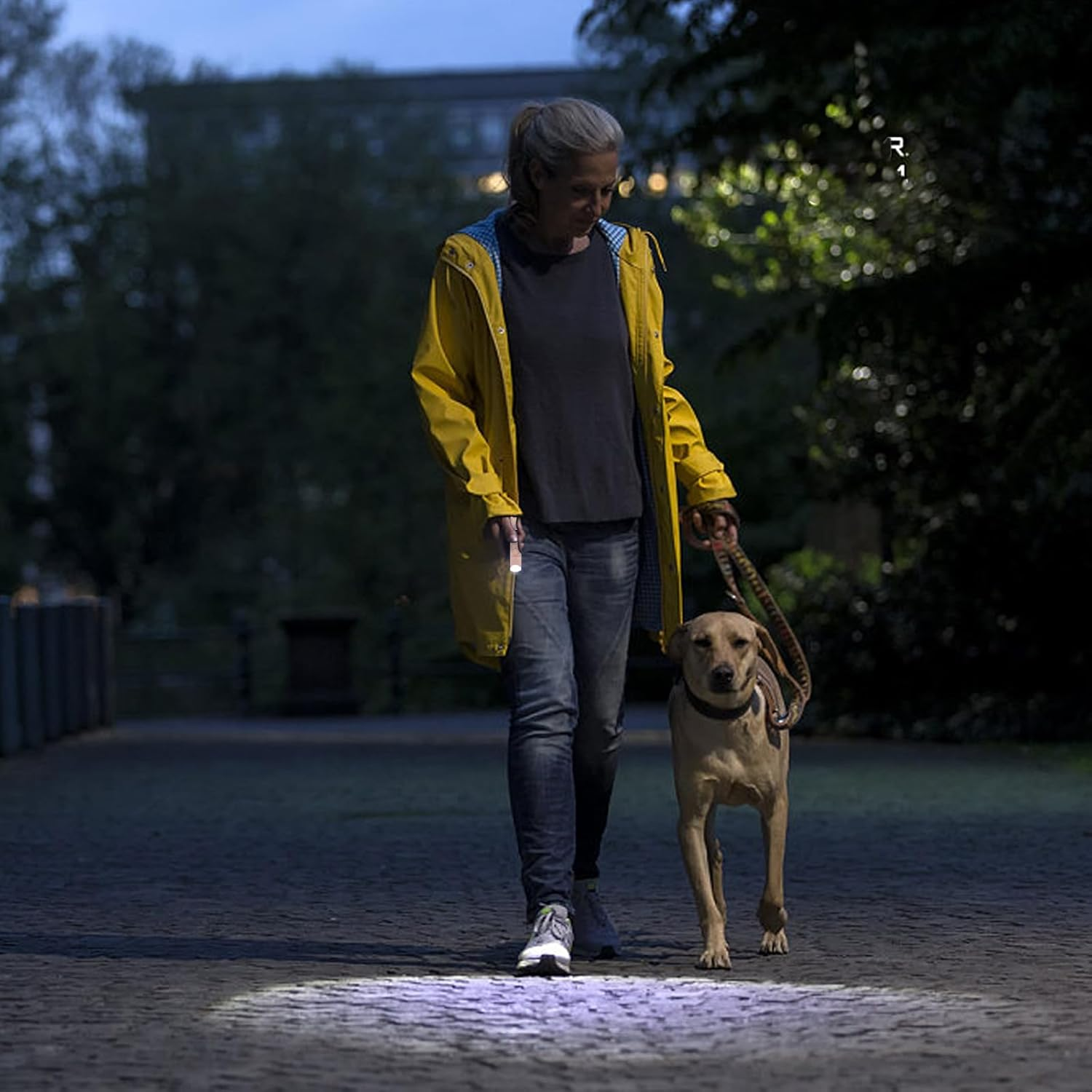 Hilngav 3 Pack Rechargeable Flashlights USB C Mini LED Flashlights, Camping Lantern Combo Flashlight, Ultralight Zoomable Flashlights, for Gift, Camping, Hiking, Night Reading Etc (3 Pack) image number 3