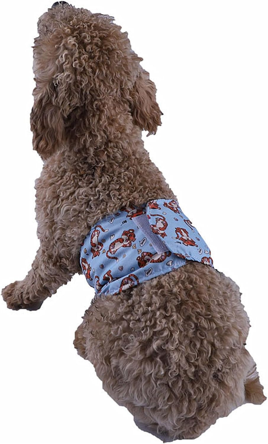 4PCS Washable Dog Diapers Male, Reusable Belly Wrap, Soft and Comfortable, Daily Use, for Dogs Puppy Nappies, with 4 Stylish Patterns (XL) image number 1