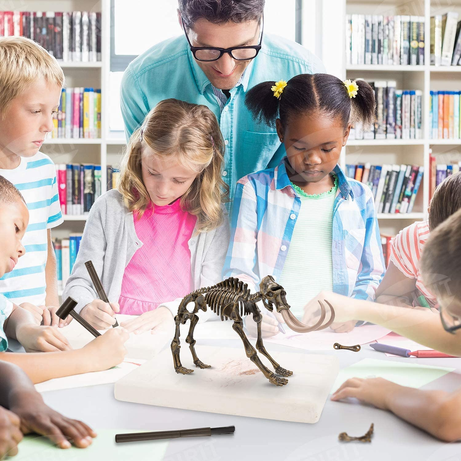 Dinosaur Fossil Digging Kit for Kids and Adult, STEM Science Dinosaur Fossil Dig Kit for Paleontology and Archeology Enthusiasts, Realistic Dig up Dinosaurs Skeleton Set Educational Toys image number 2