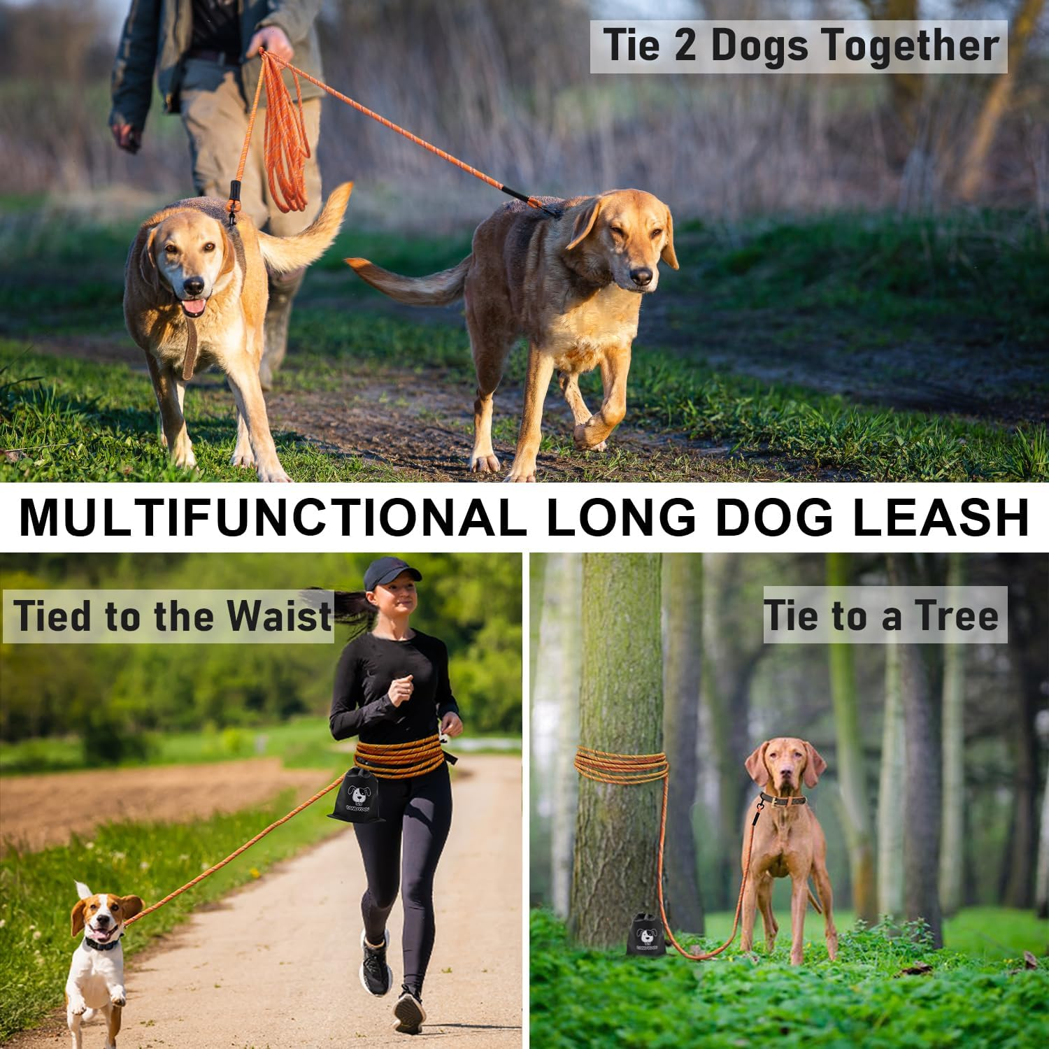 CANDYDOG Recall Lead 10 M for Dogs, without Handle, with 2 Climbing Carabiners, Suitable for Small to Large Dogs, Orange - Classic Dog Leads and Lead Ropes image number 4