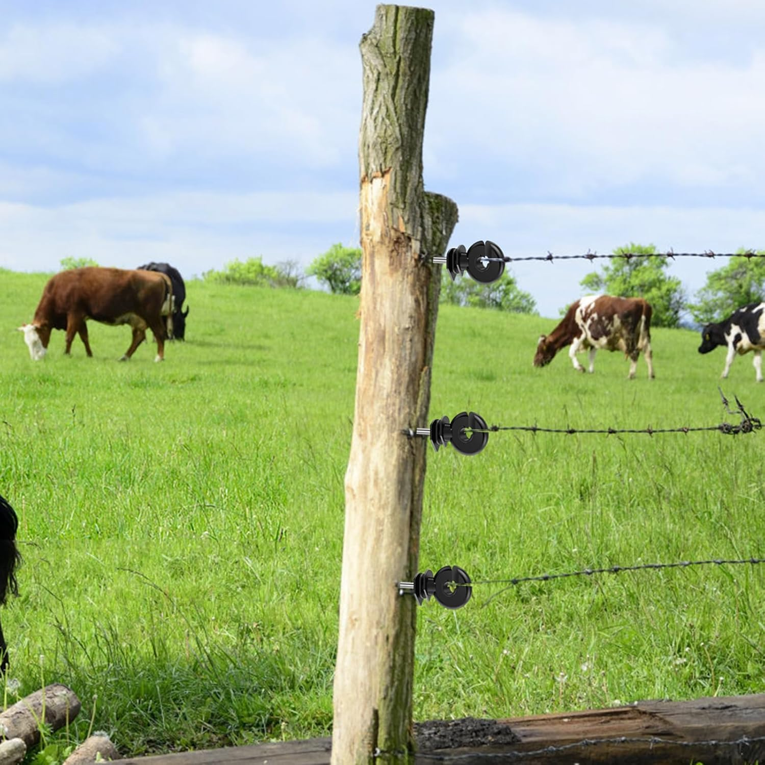 51Pcs Electric Fence Wire Insulator, Black Steel Insulator Stand off Screw for Wooden Post, Agricultural Fencing Accessories for Tape Rope Electric Wire Animal Agricultural Garden