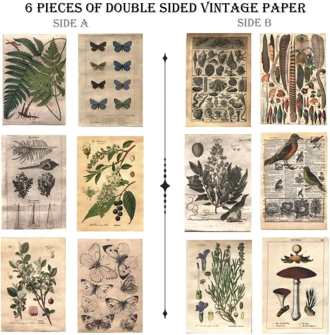 Vintage Aesthetic Botany Creature Adhesive Washi Sticker Pack | Artsy Antique Plants Grass Floral Butterfly Paper Decals Supplies | Retro Trendy Memorial (Natural Arts Crafts Material Pack) - Fall image number 2