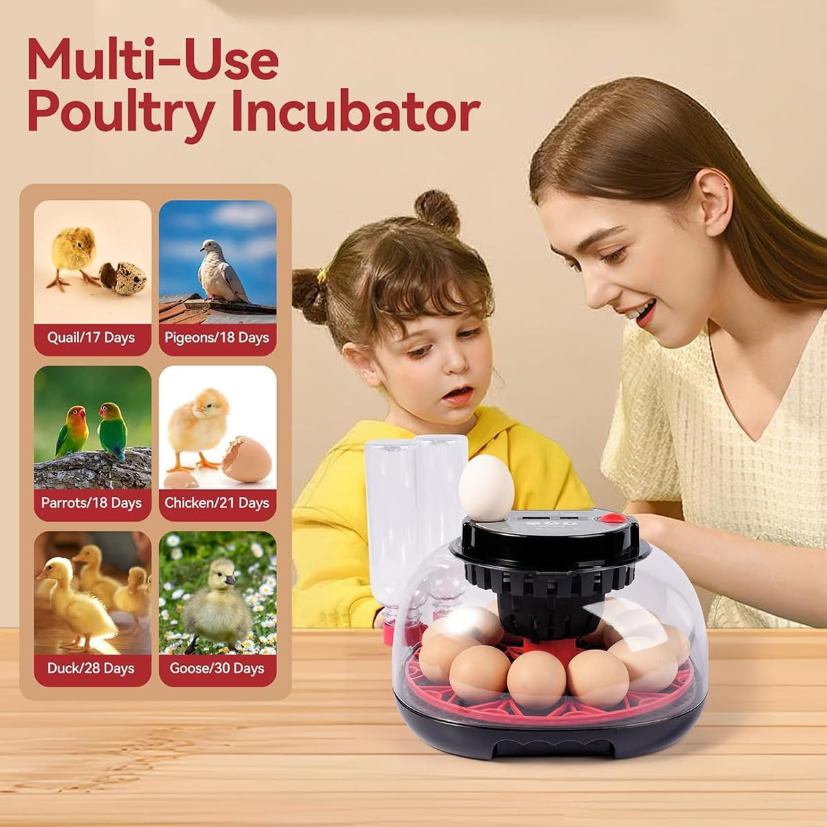 CLOUDSEASON Egg Hatching Incubator 12 Egg Capacity with Automatic Constant Temperature Humidity Control & Auto Egg Turning for Chickens Ducks Geese Quail Pigeons (European Plug) image number 2