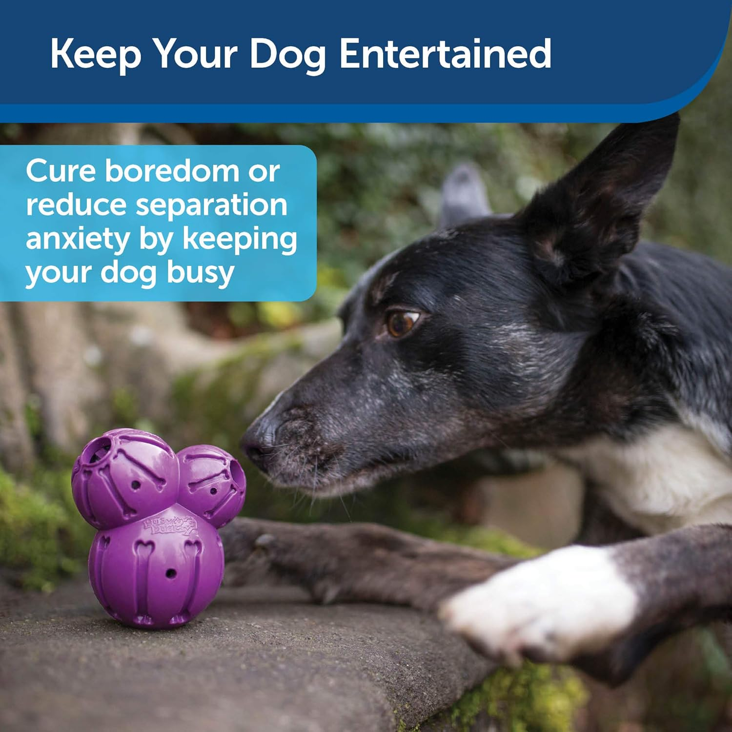 Petsafe Busy Buddy Barnacle - Dog Chew Toy - Treat Dispensing Dog Toys image number 1