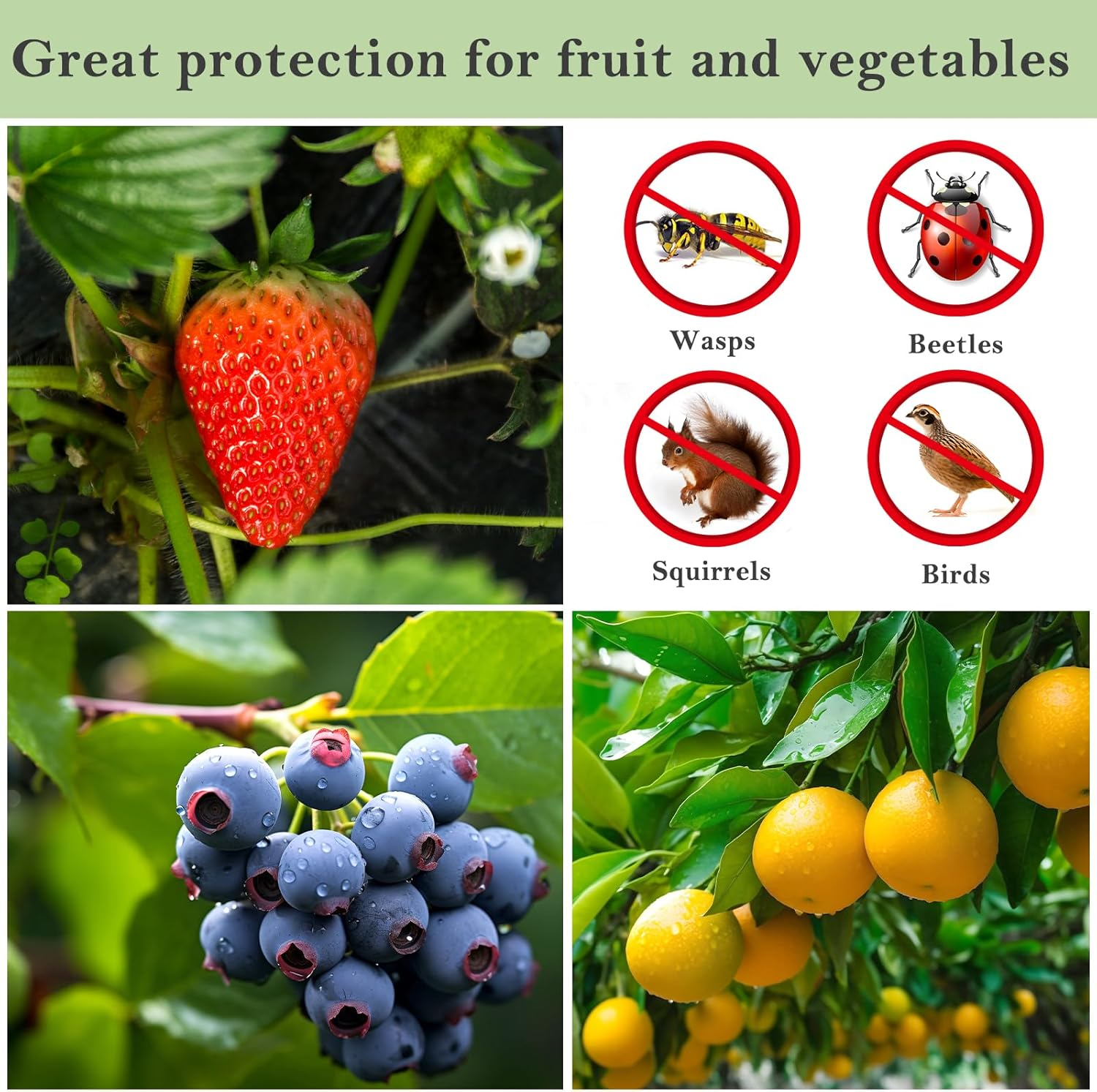 150Pcs Fruit Protection Bags, Green Fruit Netting Bags with Drawstring, Garden Fruit Cover Mesh Bag for Plant Fruit Flower and Vegetables (8 * 12 Inch) image number 4