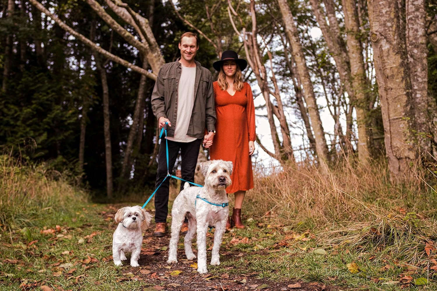 Wigzi Retractable Dual Leash for Two Dogs, 360 Degree No Tangle with Reflective Coupler. 110Lbs Total Weight. image number 4