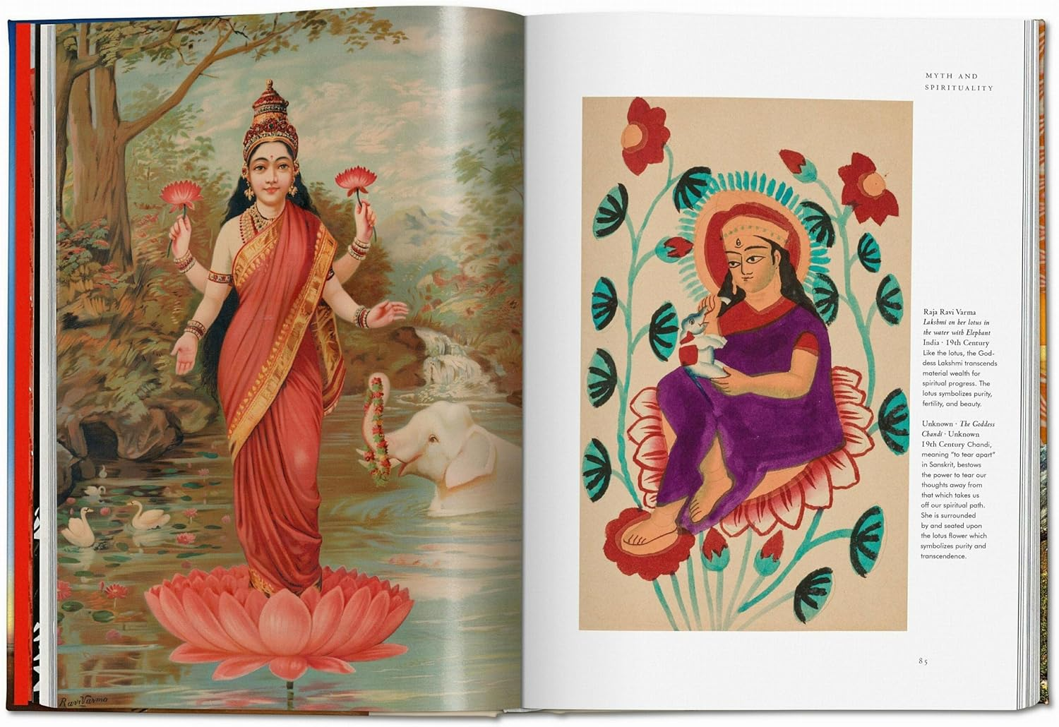 Plant Magick image number 6