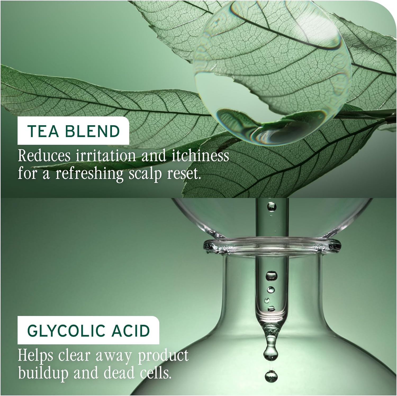 Matrix Biolage Scalpsync anti Dandruff Shampoo 400 Milliliter image number 1