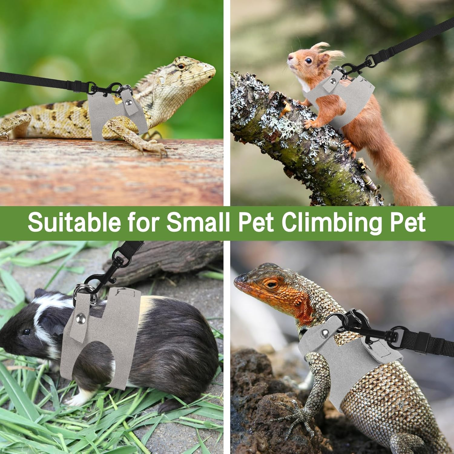 Fnaobai Bearded Dragon Harness Leash Set 3 Size Adjustable Lizards Training Walking Leather Vest Escape-Proof Traction Rope for Outdoor Small Reptiles Animal Squirrels (Grey) - Blue image number 6