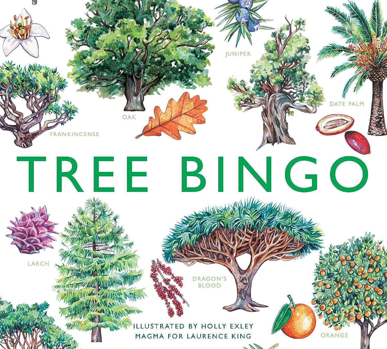 Tree Bingo image number 3