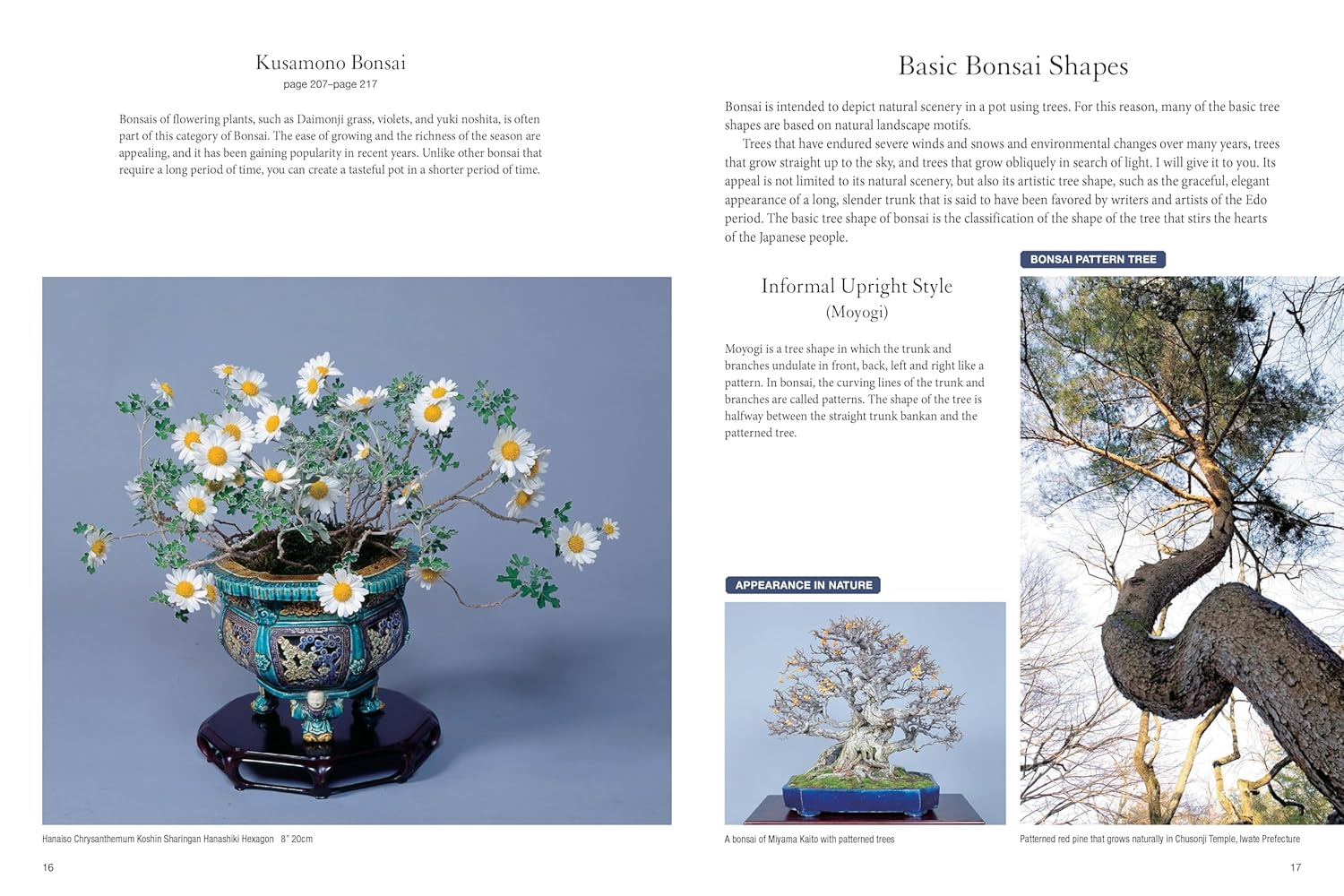 Bonsai Master Class: Lessons and Tips from a Japanese Master for All the Most Popular Types of Bonsai (With over 600 Photos & Diagrams) image number 3