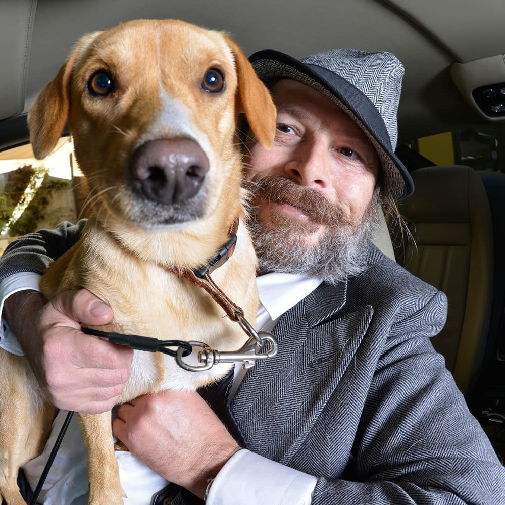 Pet Dog Seat Belt Harness for Car, Sonku Coated Stainless Steel Chew Proof Dog Vehicle Safety Tether Cable,Safety Vehicle Belt Fit