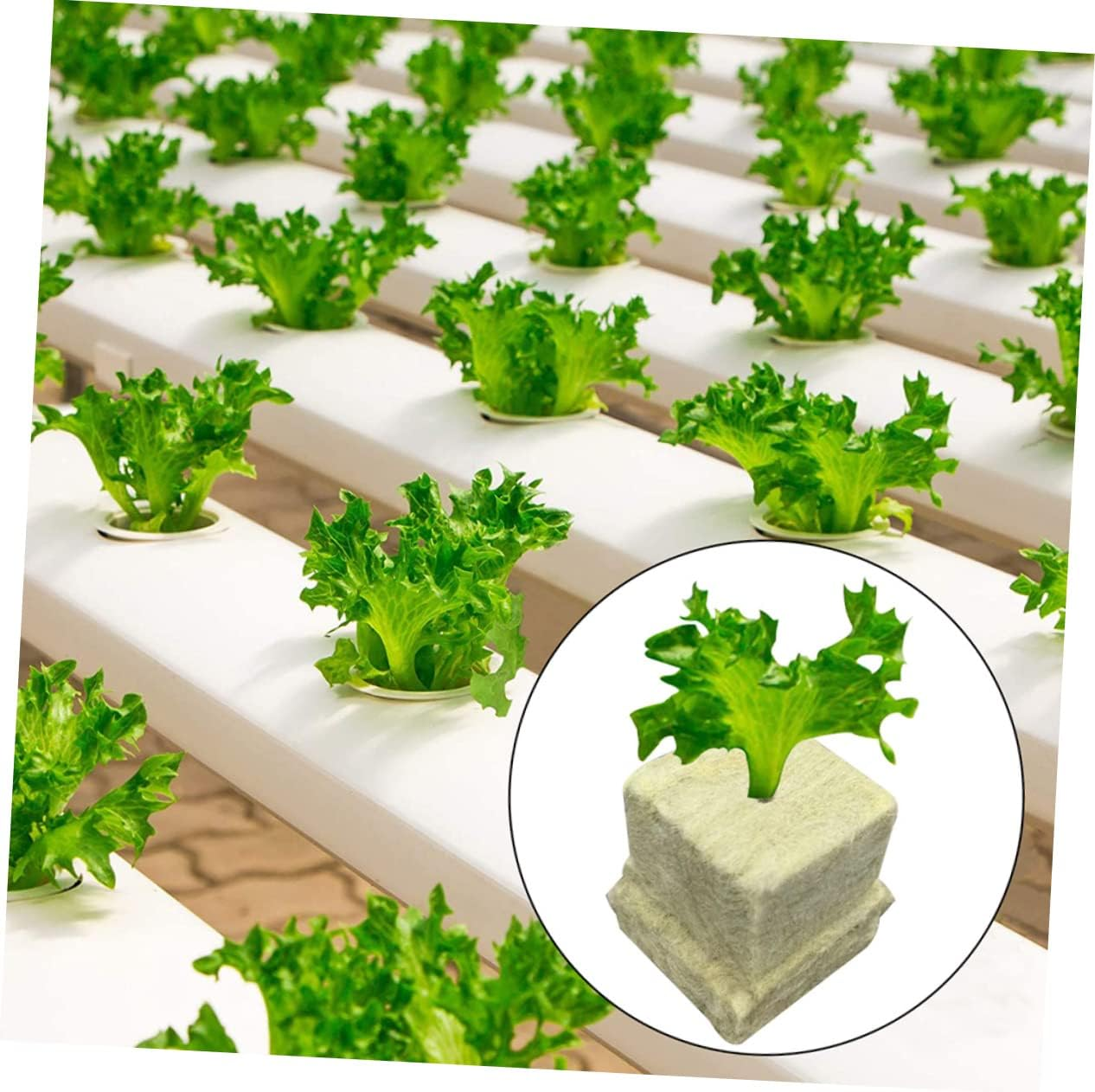 CANIGHT 100Pcs Mushroom Substrate Blocks Plant Nursery Blocks Easy to Use Garden Supplies image number 2