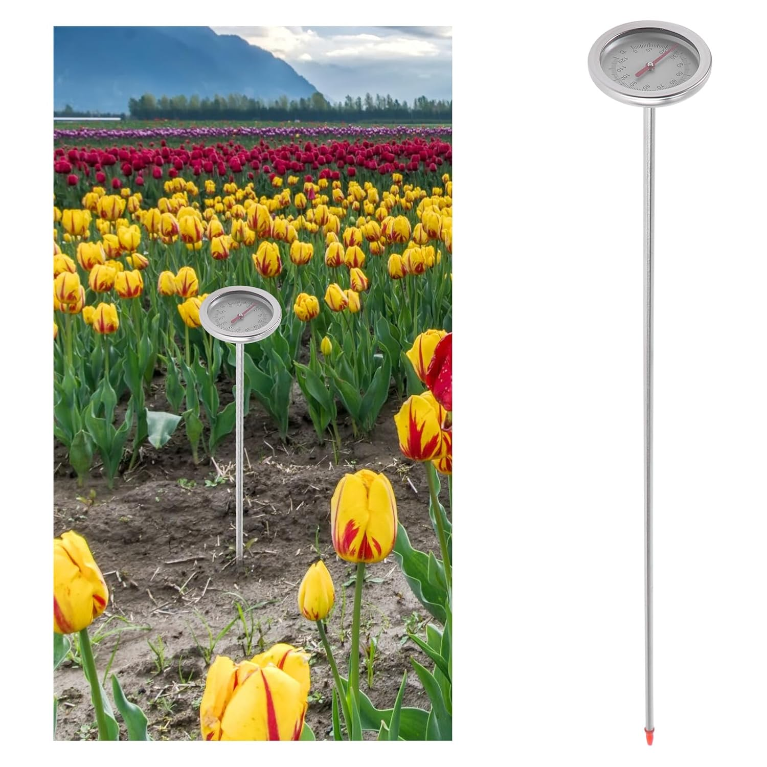 Stainless Steel Soil Thermometer with Probe for Gardening and Composting No Battery Temperature Detector Precise Measurement Tool for Planting and Soil Temperature Monitoring image number 2