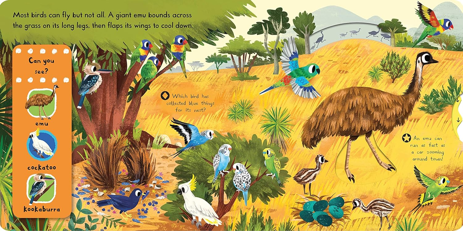 Beautiful Birds image number 1