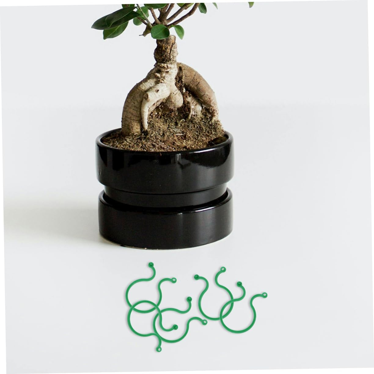 Yardwe 100Pcs Plant Stem Holders for Flowerpot Bonsai Garden Plant Supply Flower Stems Fixed Rack for Supporting in Outdoor Gardening image number 3