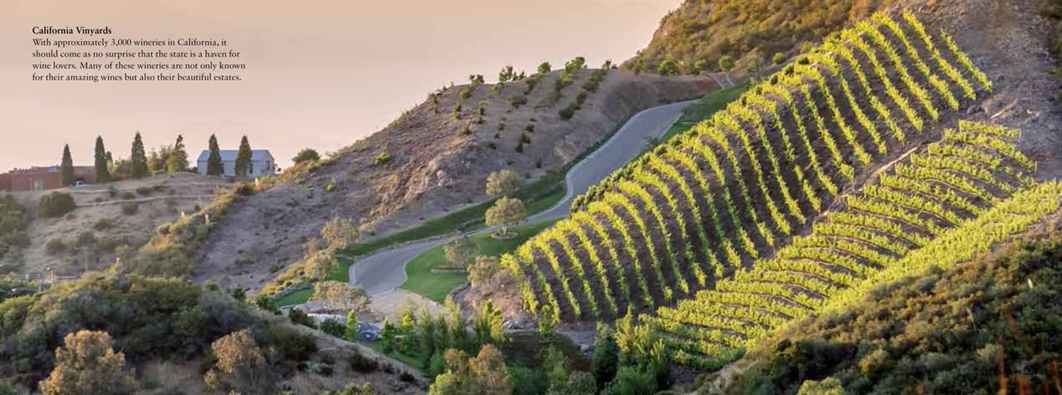 California California image number 2