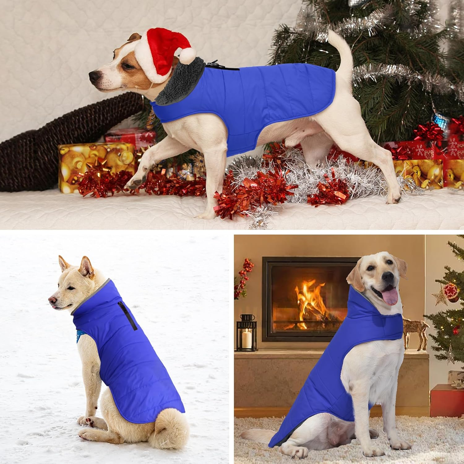 Petglad Dog Winter Coat, Waterproof Dog Jacket with Leash Hole, Reflective Warm Dog Snow Jacket Windproof Fleece Vest, Dog Clothes Outfits for Small Medium Large Dogs - Blue, M