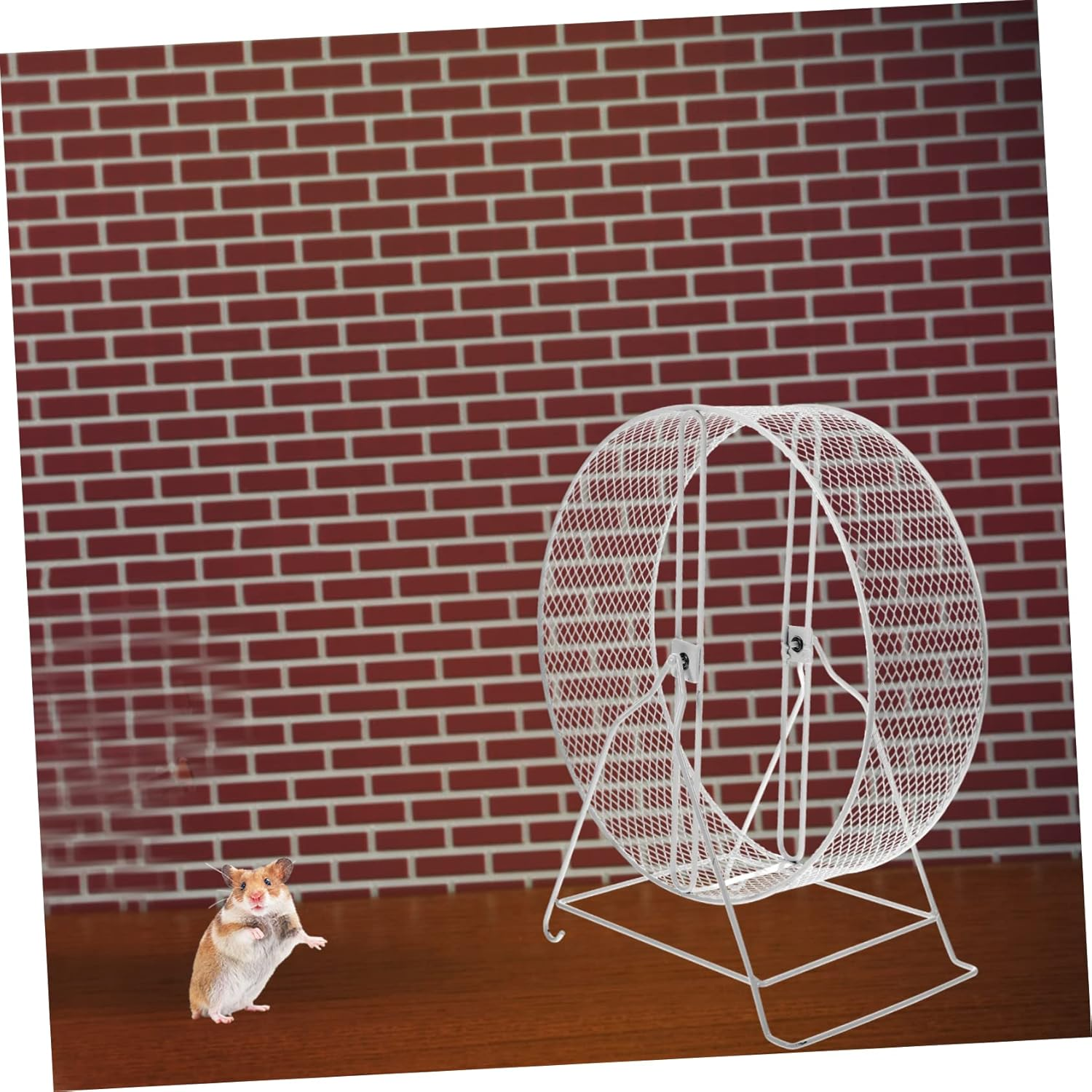 DOITOOL Squirrel Playing Wheel Funny Hamster Wheel for Exercise and Entertainment Sturdy Quiet Design 8 Inch Suits Chinchilla Rat Hedgehog Cage Accessories for Indoor Play image number 7