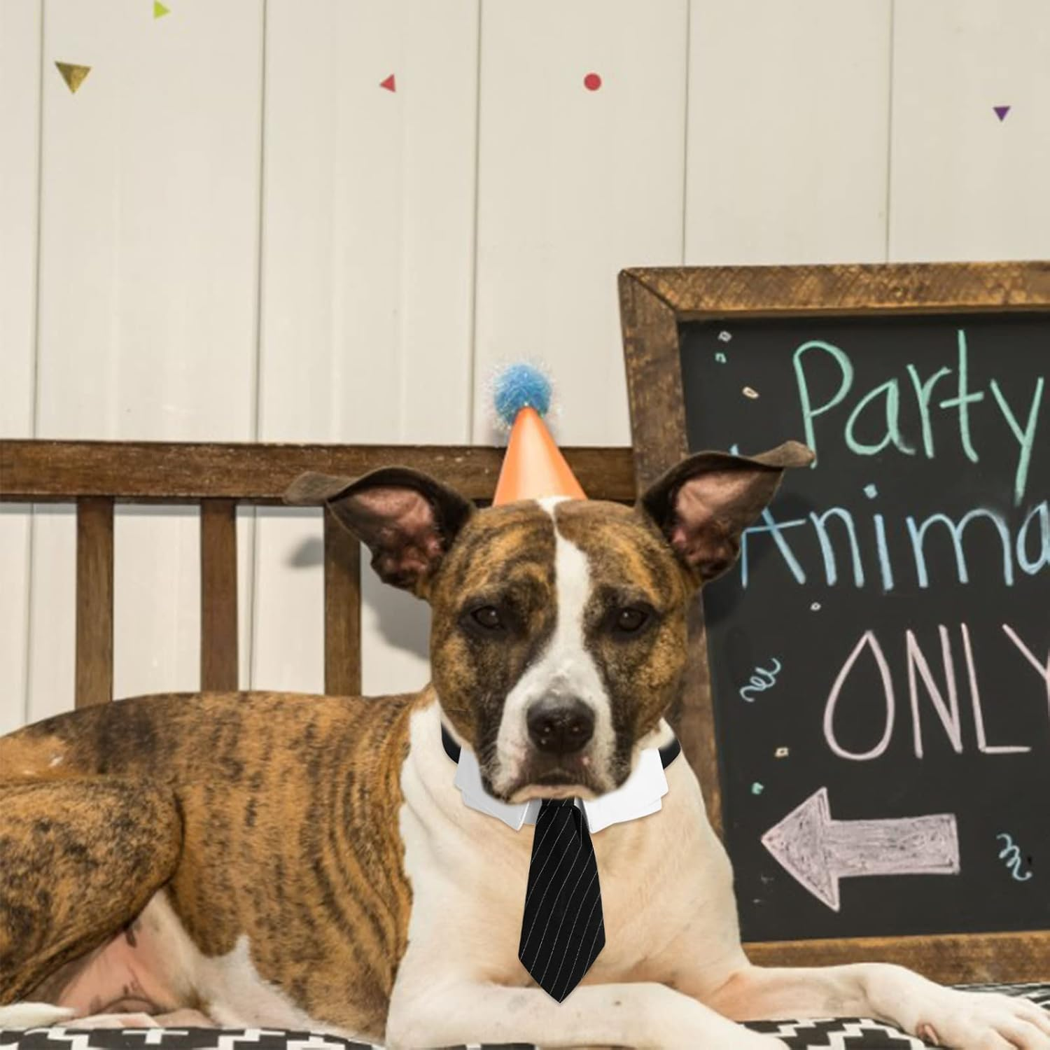 HACRAHO Dog Neck Tie Collar, 1 Pack Wedding Dog Necktie Collar Adjustable Formal Collar Neck Tie for Medium Large Dogs, L