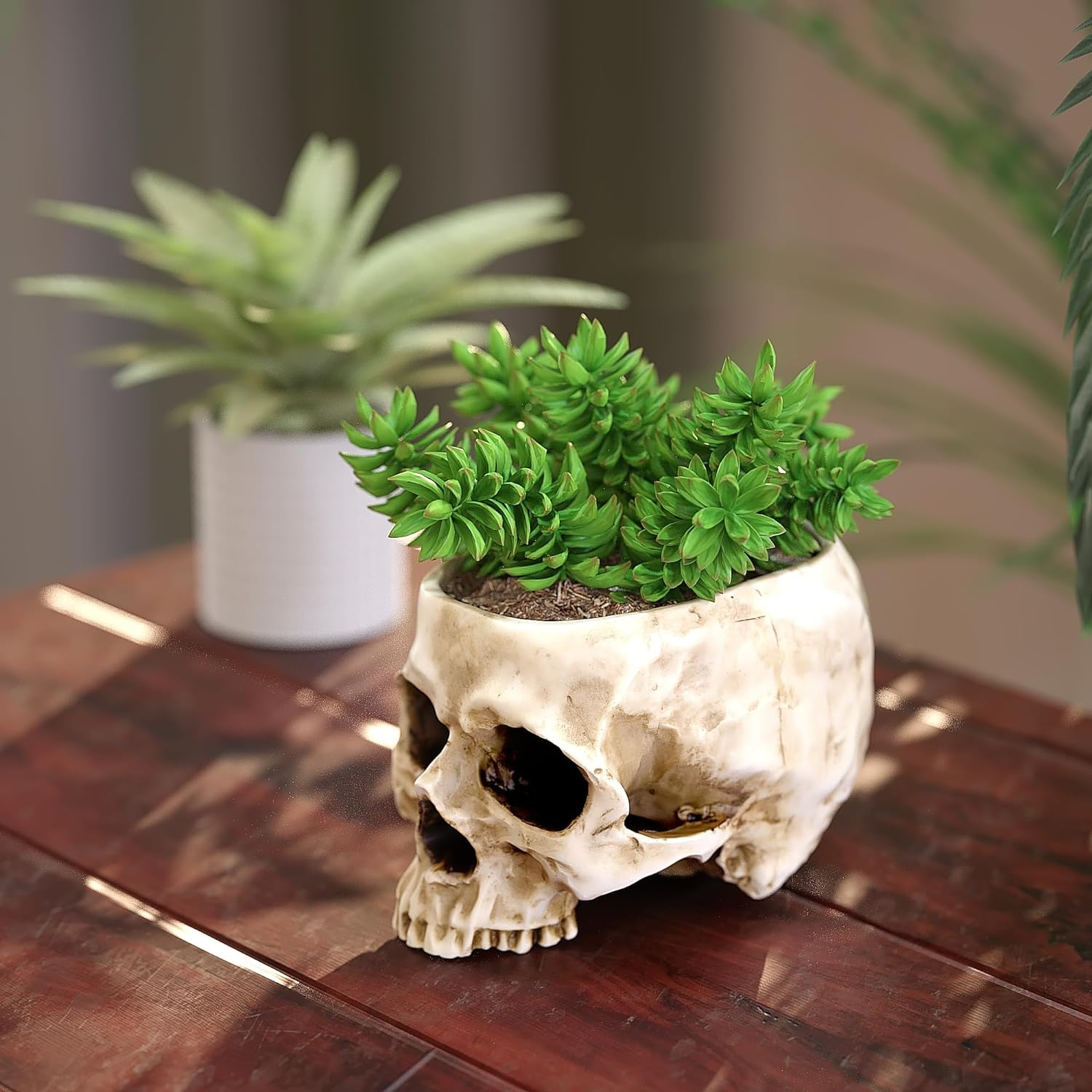 READAEER Skull Bowl Resin Skull Shaped Planter Flower Pot Candy Bowl for Home Office Indoor Desk Decorations - White image number 1