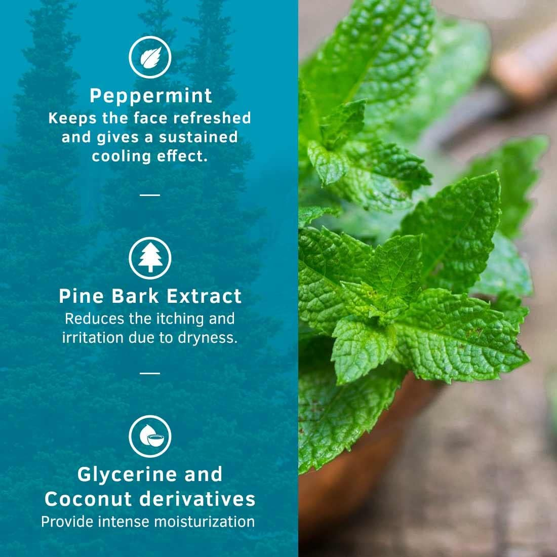 Ustraa Face Wash - Dry Skin (Mint Cool) - 100Gm image number 1