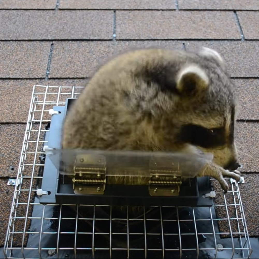 Artowell Raccoon One Way Eviction Door - the Contactless Excluder, Perfect for Outdoor Spaces like Attics, Chimneys & under Decks. Fast Results, Easy DIY Installation image number 4