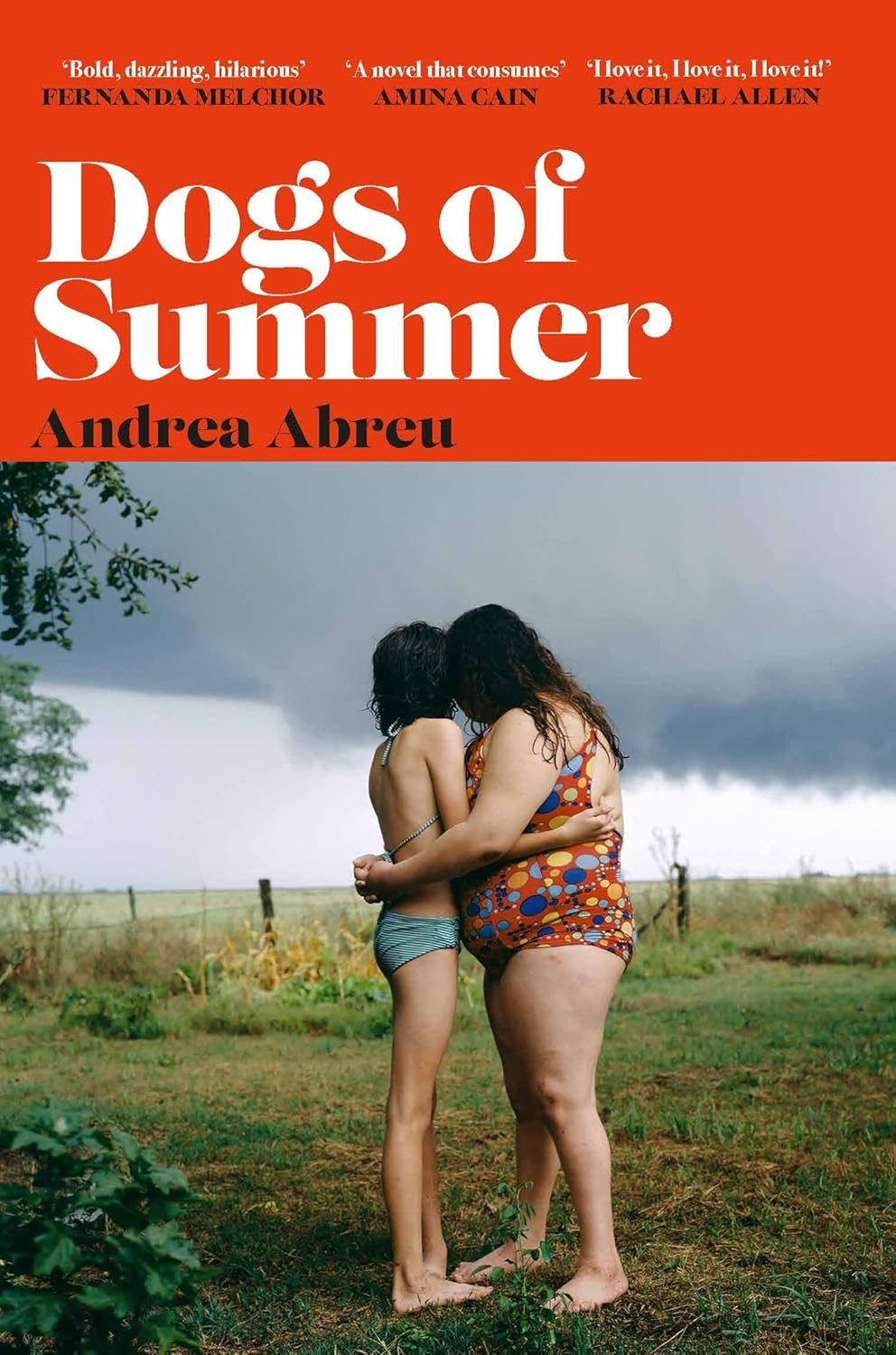 Dogs of Summer: a Sultry, Simmering Story of Girlhood and an International Sensation image number 1