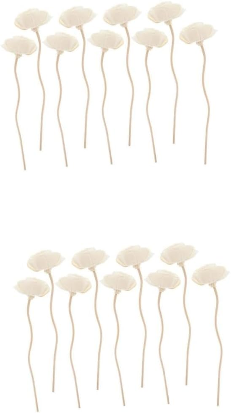 Cabilock 36Pcs Dried Flower Aroma Diffuser Sticks Essential Oil Reed Diffuser for Home Replaceable Fragrance Sticks for Living Bedroom Aromatherapy