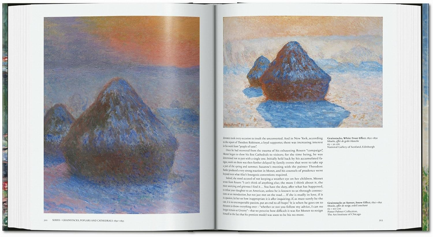 Monet. El Triunfo Del Impresionismo image number 5