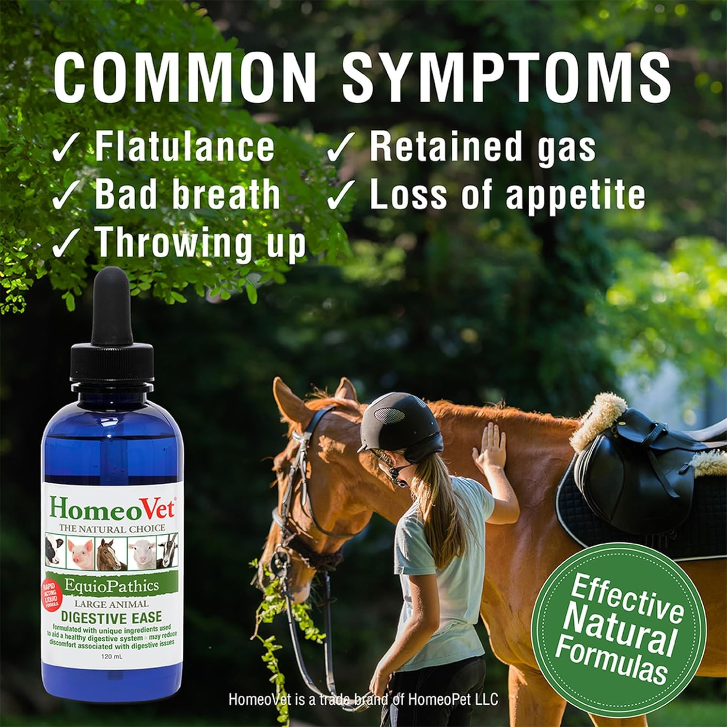 Homeovet Equine Digestive Ease 120 Ml - for Minor Digestive Upsets in Horses an All Natural Digestion Aid for Horses to Maintain a Well Balanced System for Equine Intestinal Health image number 4