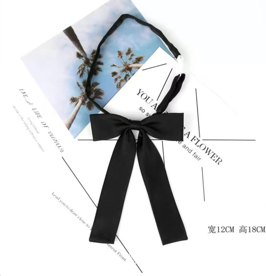 Bow Tie for Women, Western Ribbon Bow Tie, Colonel Adjustable Bowtie for School Uniform Shirt Wedding image number 5